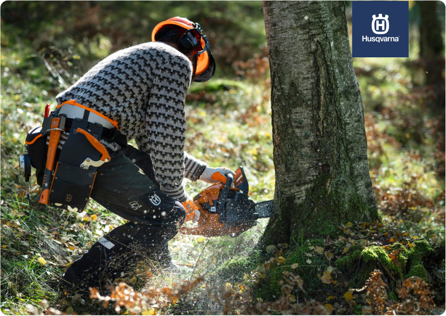 Jälleenmyyjän kuva