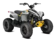 CAN-AM RENEGADE std 110 efi - ATV-mönkijät 2025 - 0003CPC00 - 1
